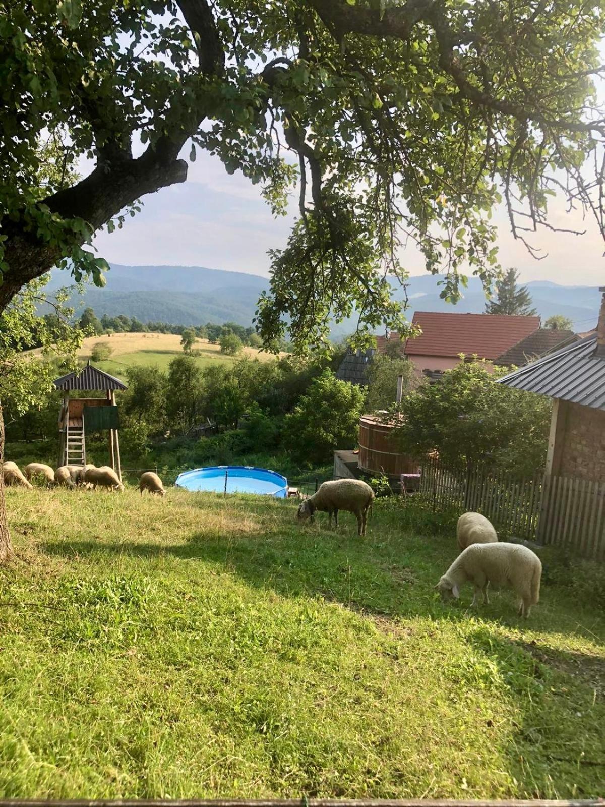 Holiday Home Captain'S Village Sljivovica  Bagian luar foto