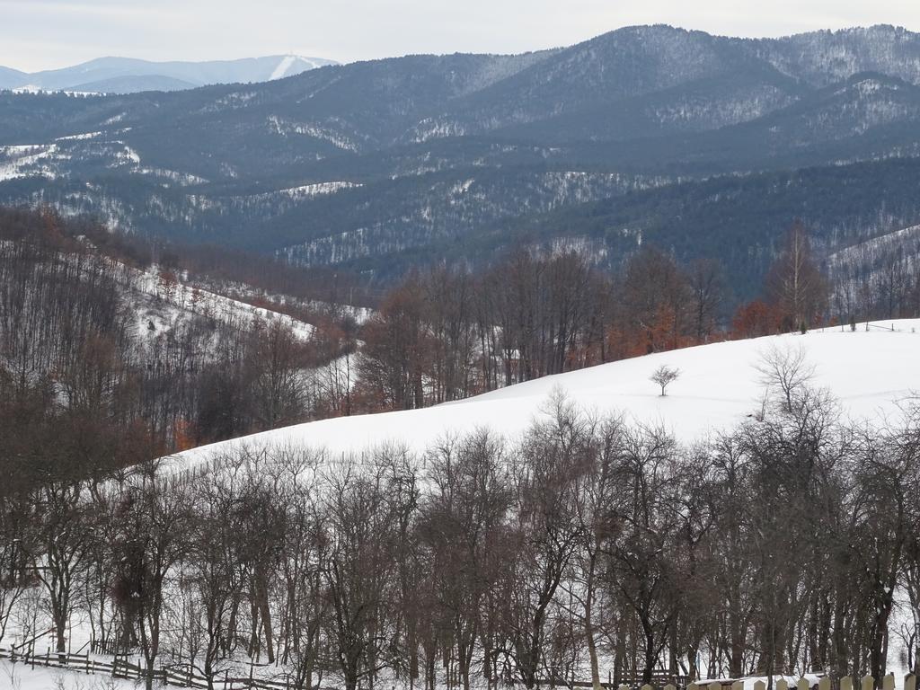 Holiday Home Captain'S Village Sljivovica  Bagian luar foto