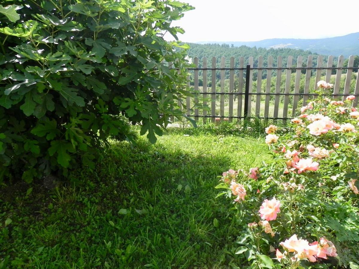 Holiday Home Captain'S Village Sljivovica  Bagian luar foto